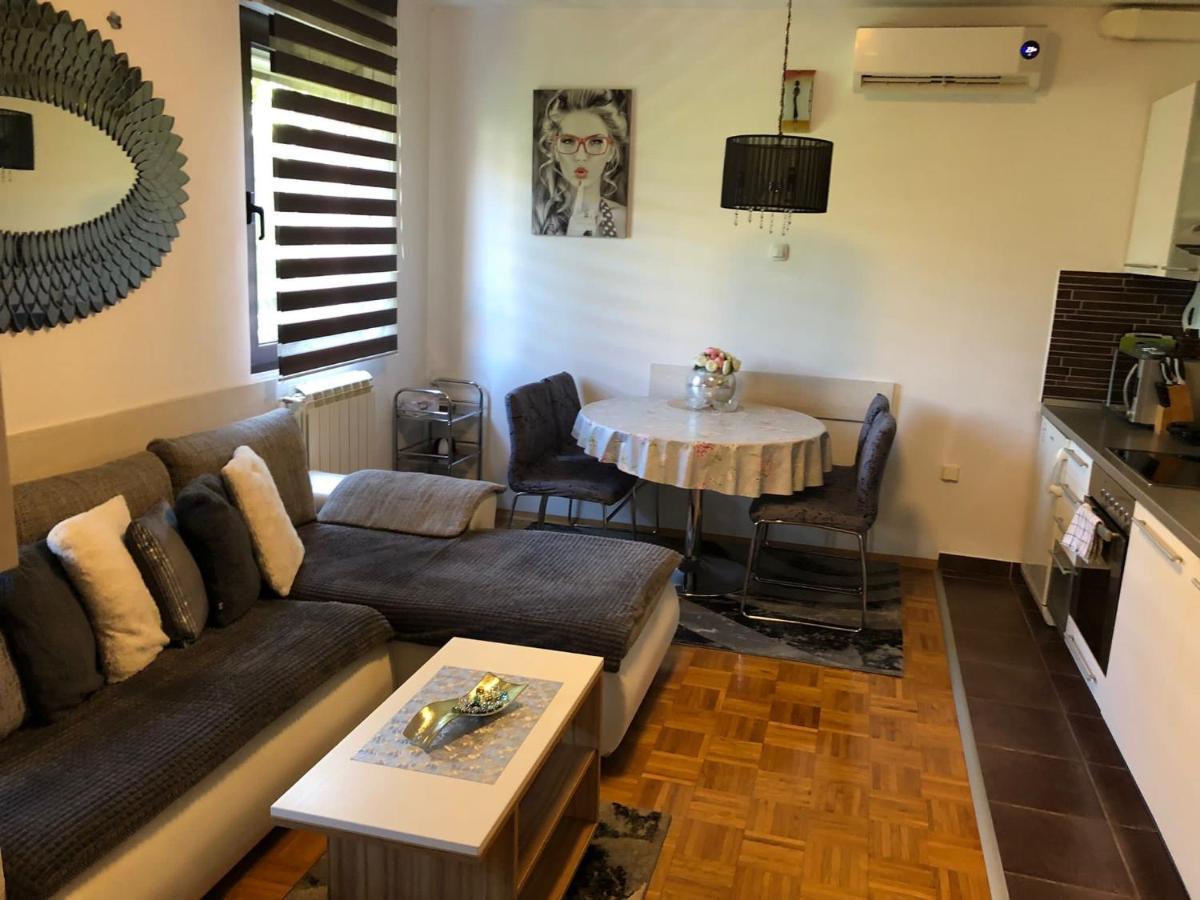 Apartment Sweet Dreams-Close To Zoo,Dinamo Stadium And The City Center Zagreb Buitenkant foto